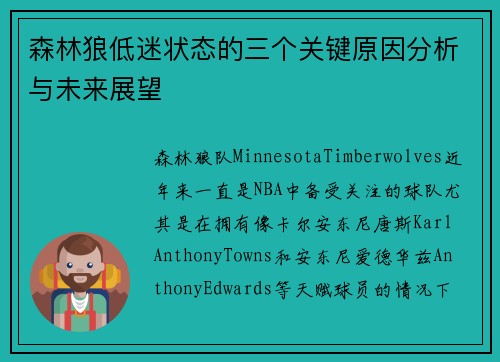 森林狼低迷状态的三个关键原因分析与未来展望